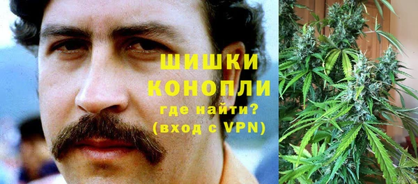 spice Алексин