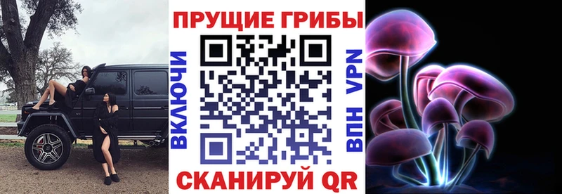 ссылка на мегу как зайти  Хотьково  Псилоцибиновые грибы мухоморы 