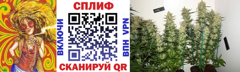 ОМГ ОМГ сайт  как найти наркотики  Хотьково  Бошки марихуана SATIVA & INDICA 